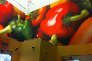 Digital Printed Wall Mural