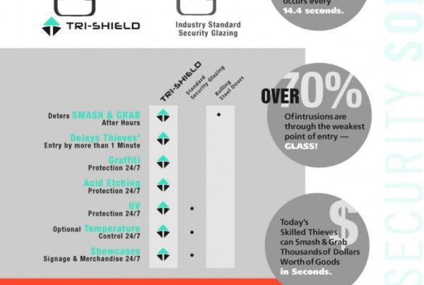 Tri-shield anti-intrusion system