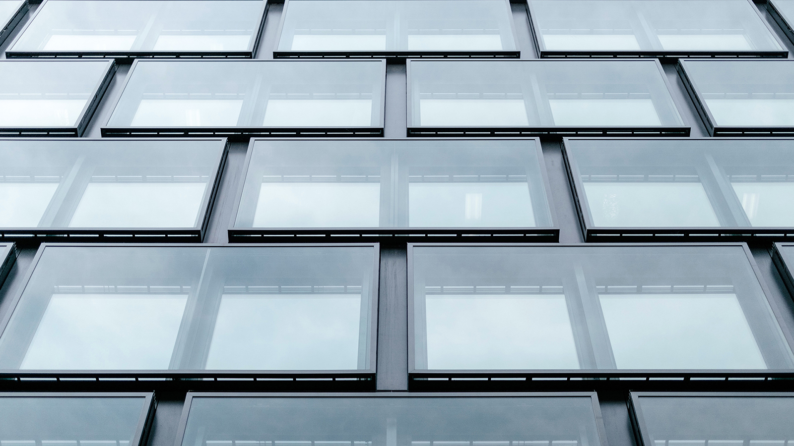 films and graphics seattle