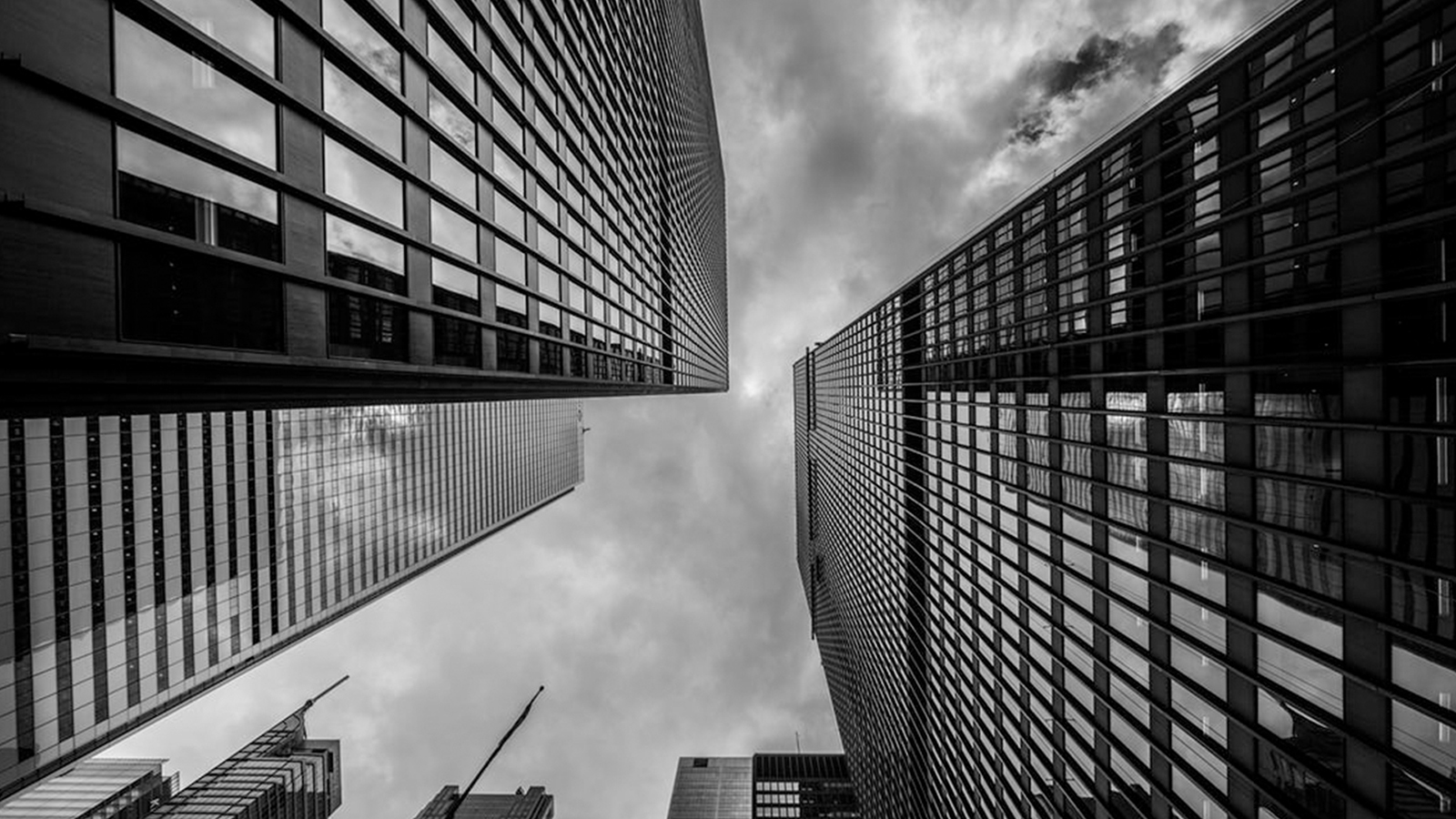 films and graphics seattle washington