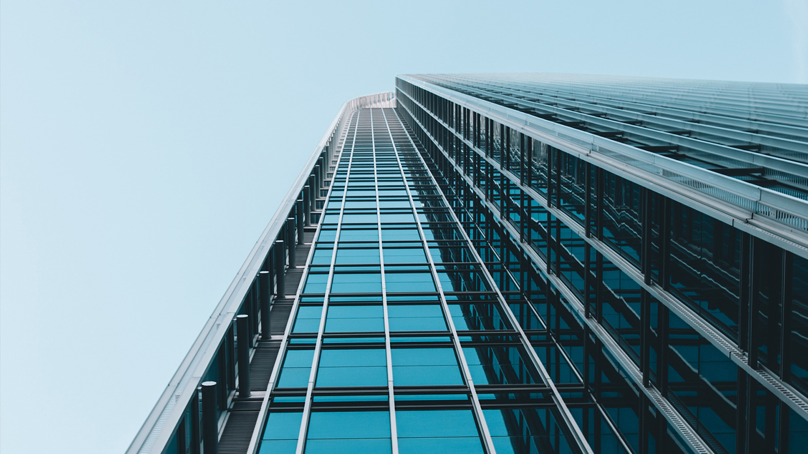 films and graphics seattle