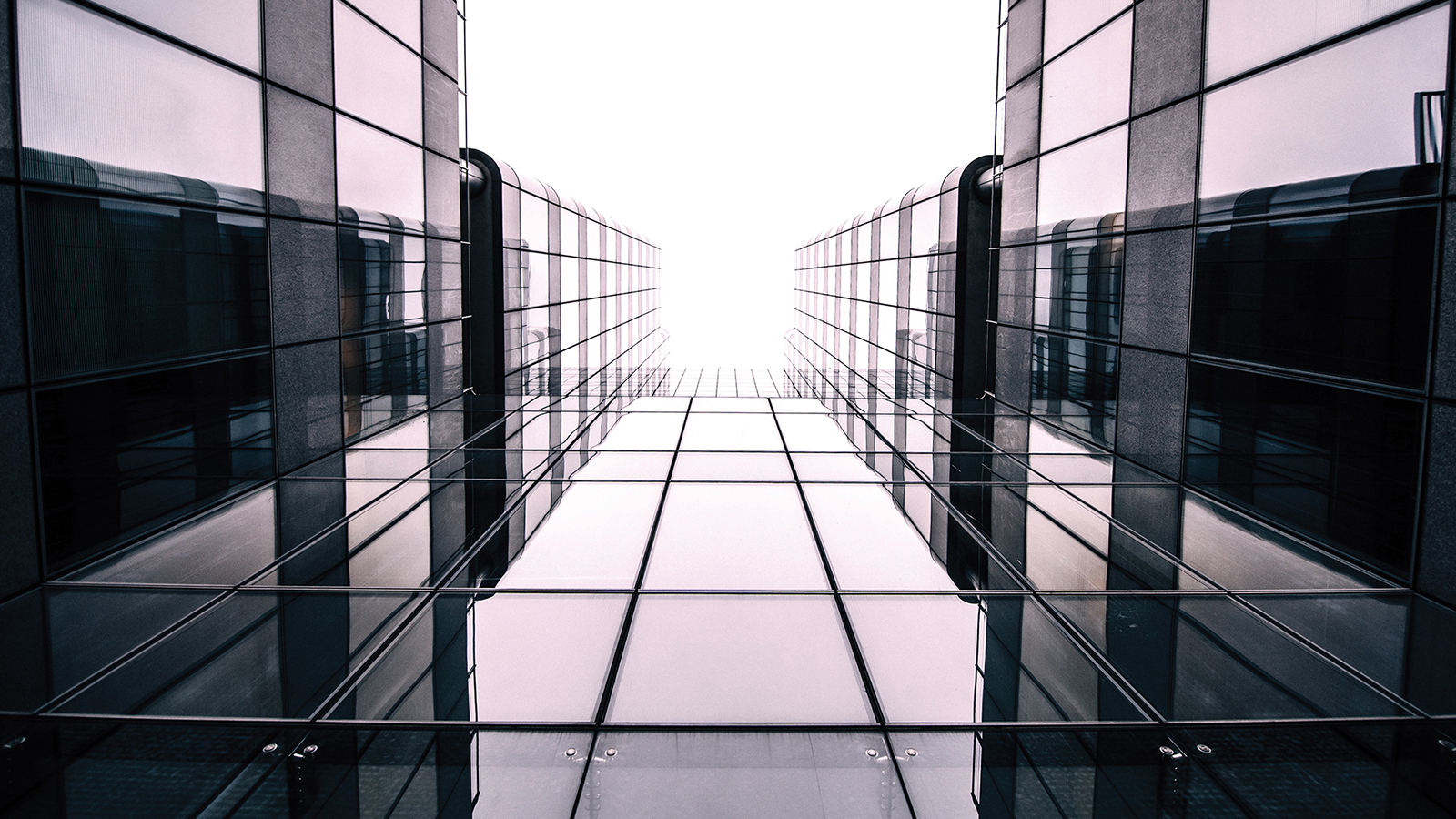 seattle buildings sign company