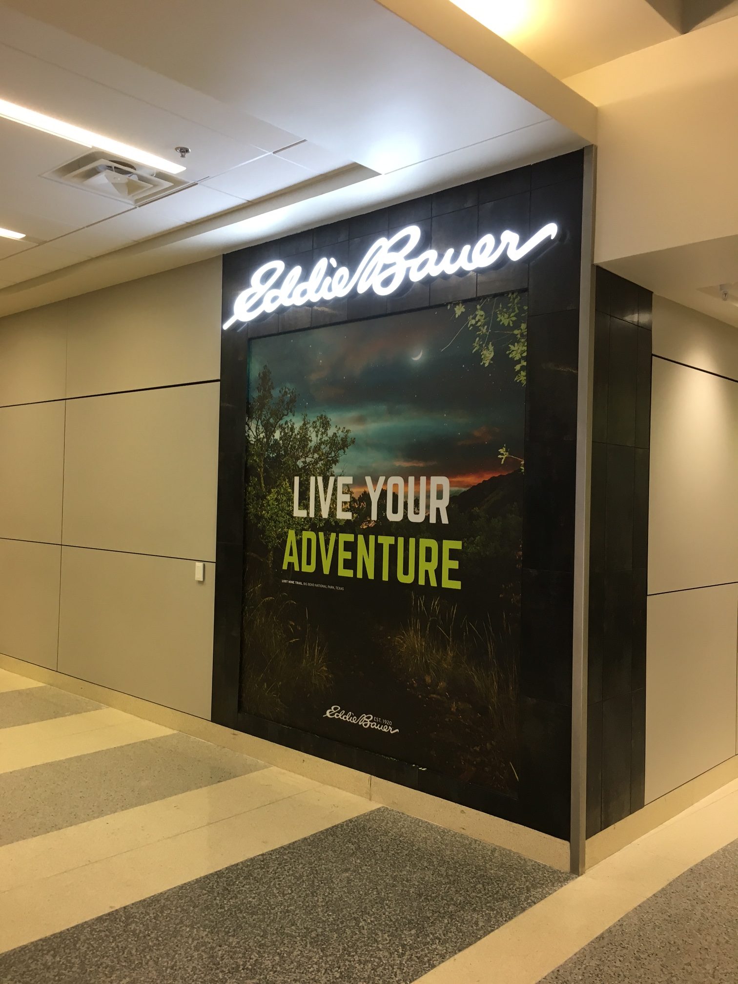 Eddie Bauer Face Illuminated Letters