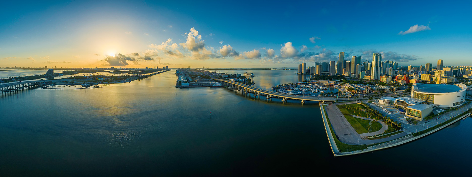 Florida skyline of buildings with window film, graphics, and signage
