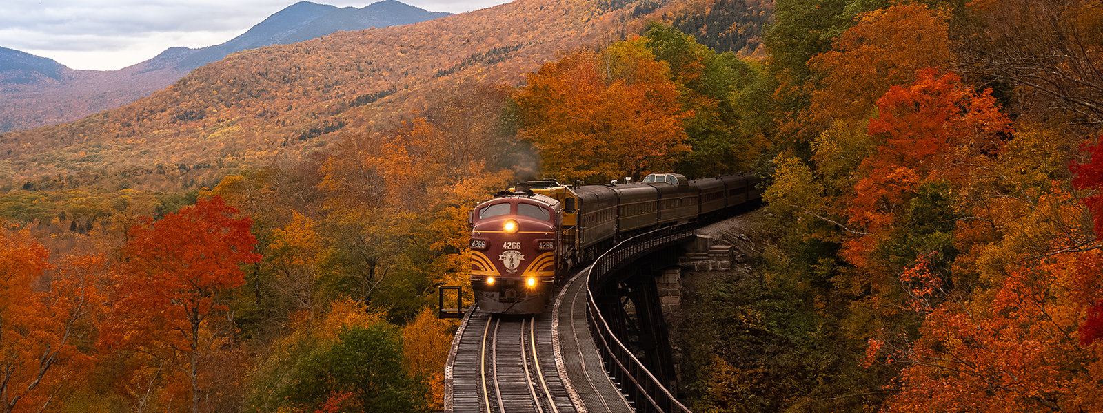 New Hampshire Window Film Printed Graphics and Signage