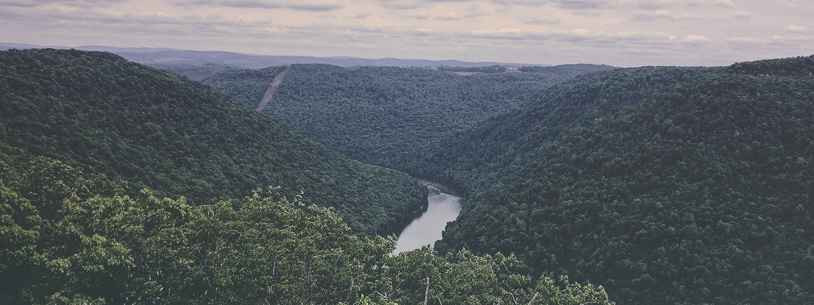 West Virginia Window Film Printed Graphics and Signage