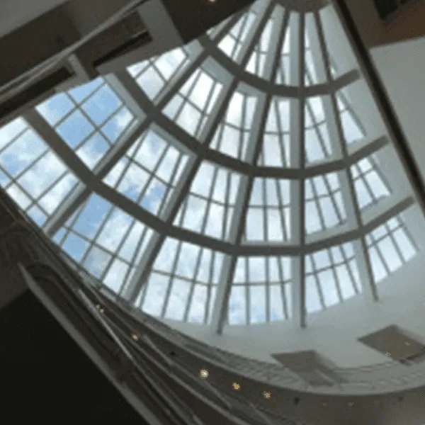 High Museum Skylite with Solar Film Installed by NGS
