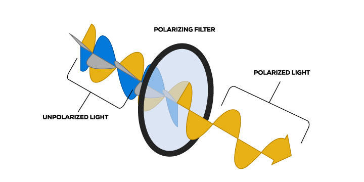 POLARIZED LIGHT