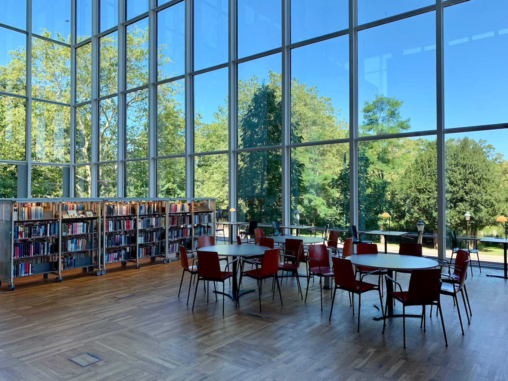 School With Security Window Film on Glass