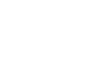 NGSX Logo Footer Sm